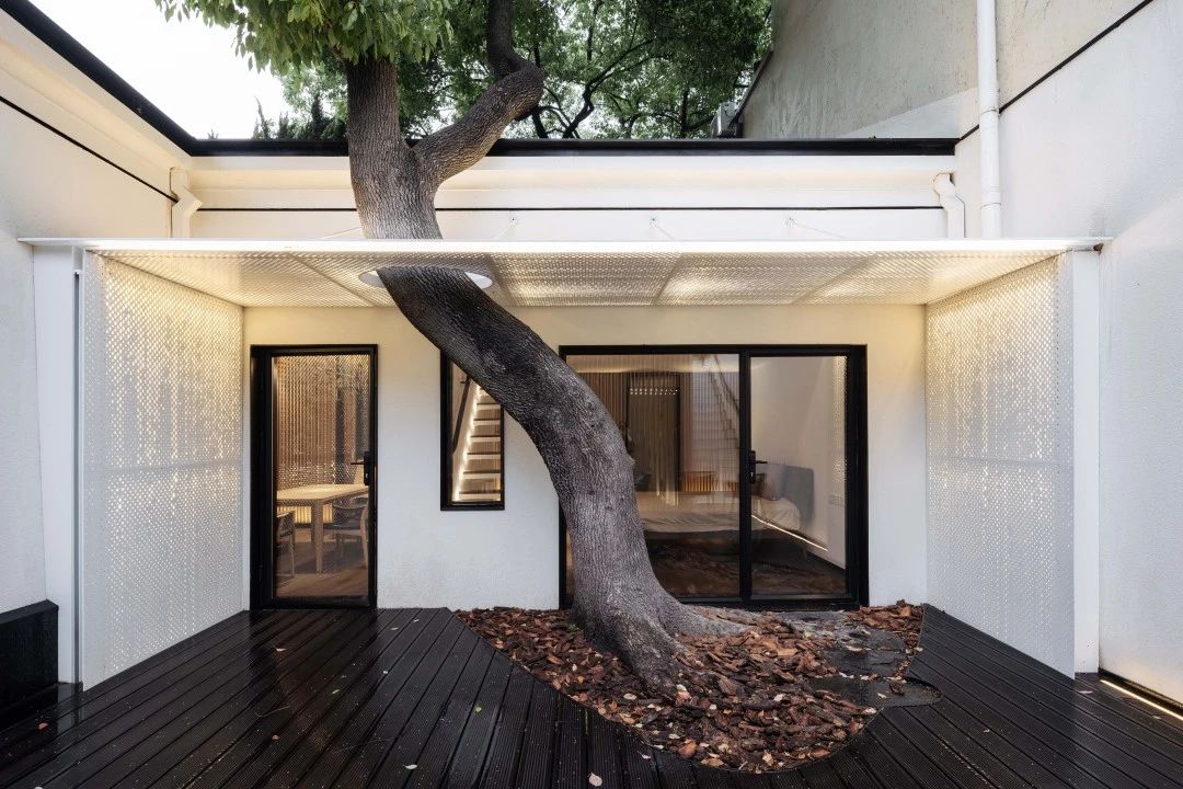 1619505181937189.jpeg 1619505181937189.jpeg