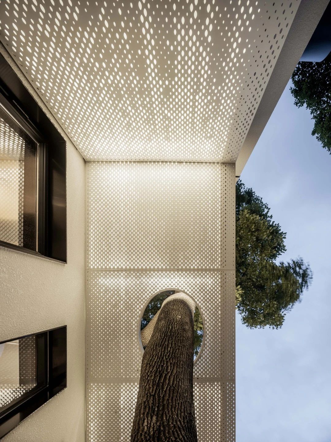 1619505197113354.jpeg 1619505197113354.jpeg