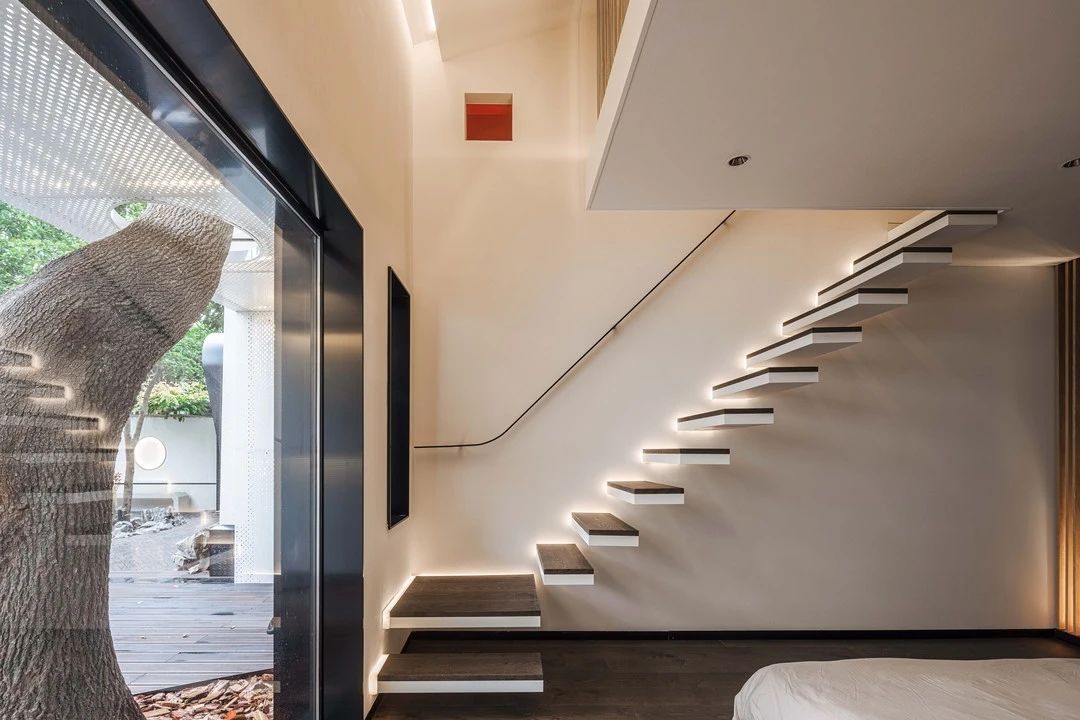 1619505875520813.jpeg 1619505875520813.jpeg