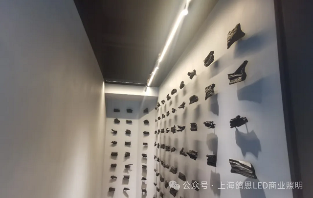 1723701467177838.png wz24081510.png