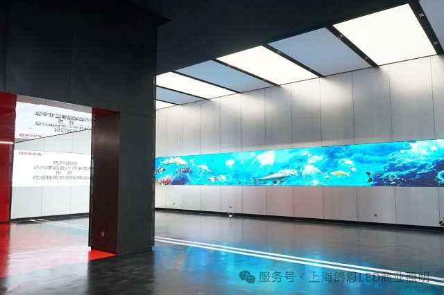 1749197092423812.png wz25060605.png